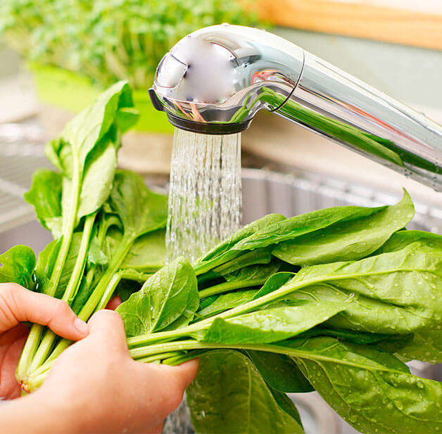 Dicas de sustentabilidade Comida