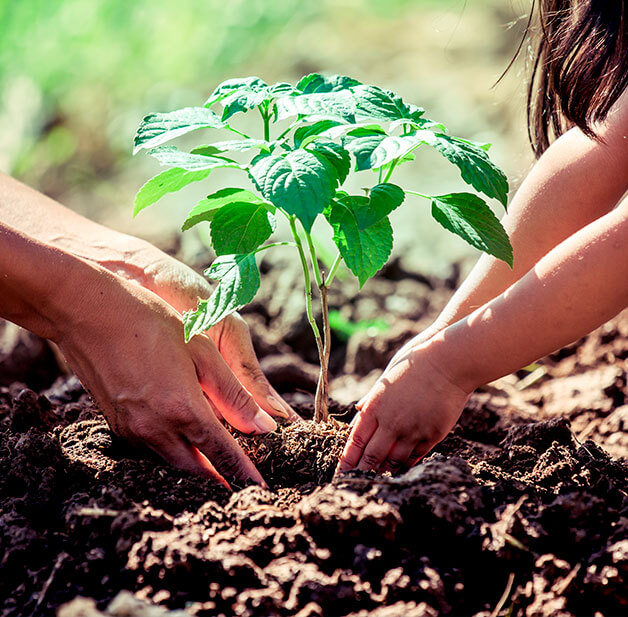 Dicas de sustentabilidade casa